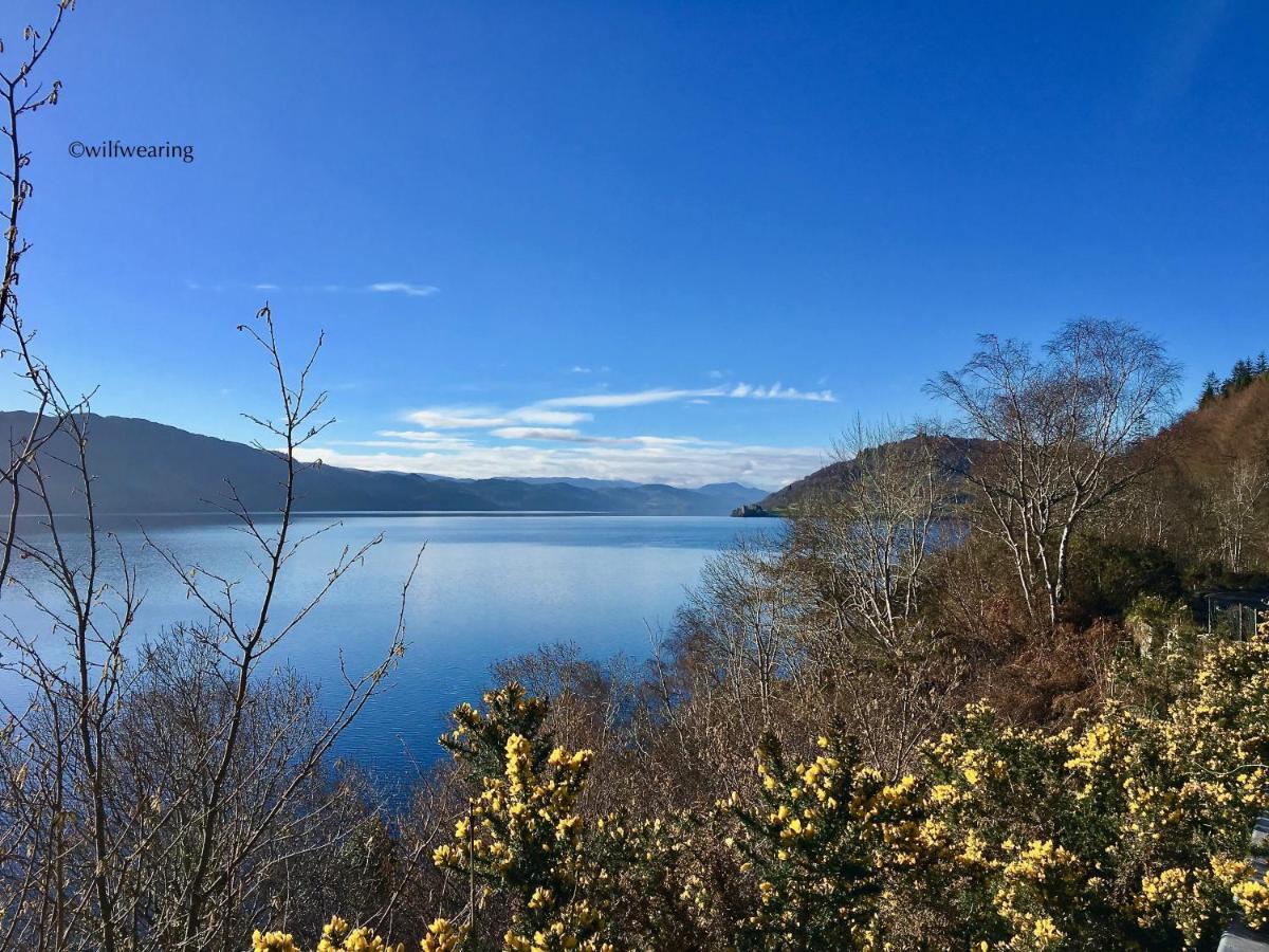Forest View - Adults Only - Maximum 2 Guests Drumnadrochit Luaran gambar